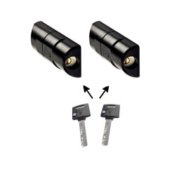 Antivol Mul-T-Lock Armadlock (lot 2 serrures)